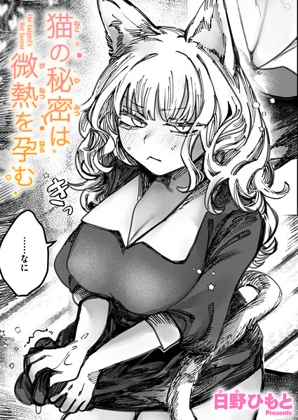 B915awnmg04249pl
