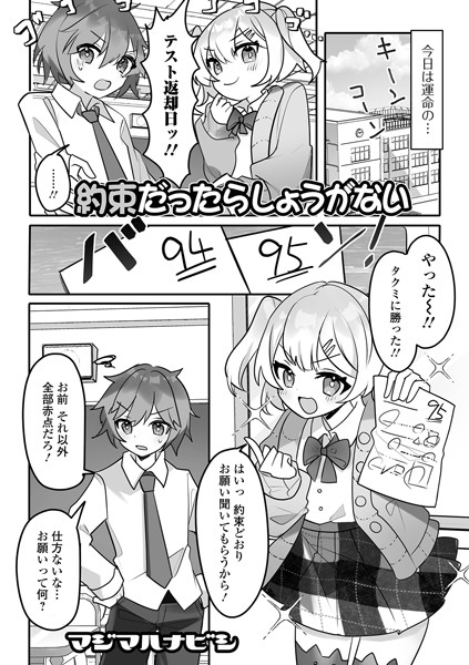 B164aisis03981pl