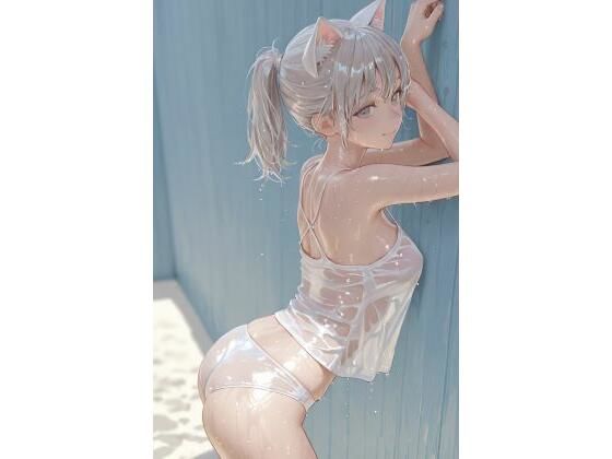 D 795500pl